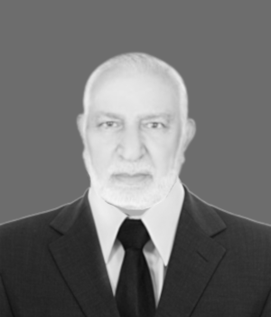 Mr. Mohamed Sobhi Khleifi